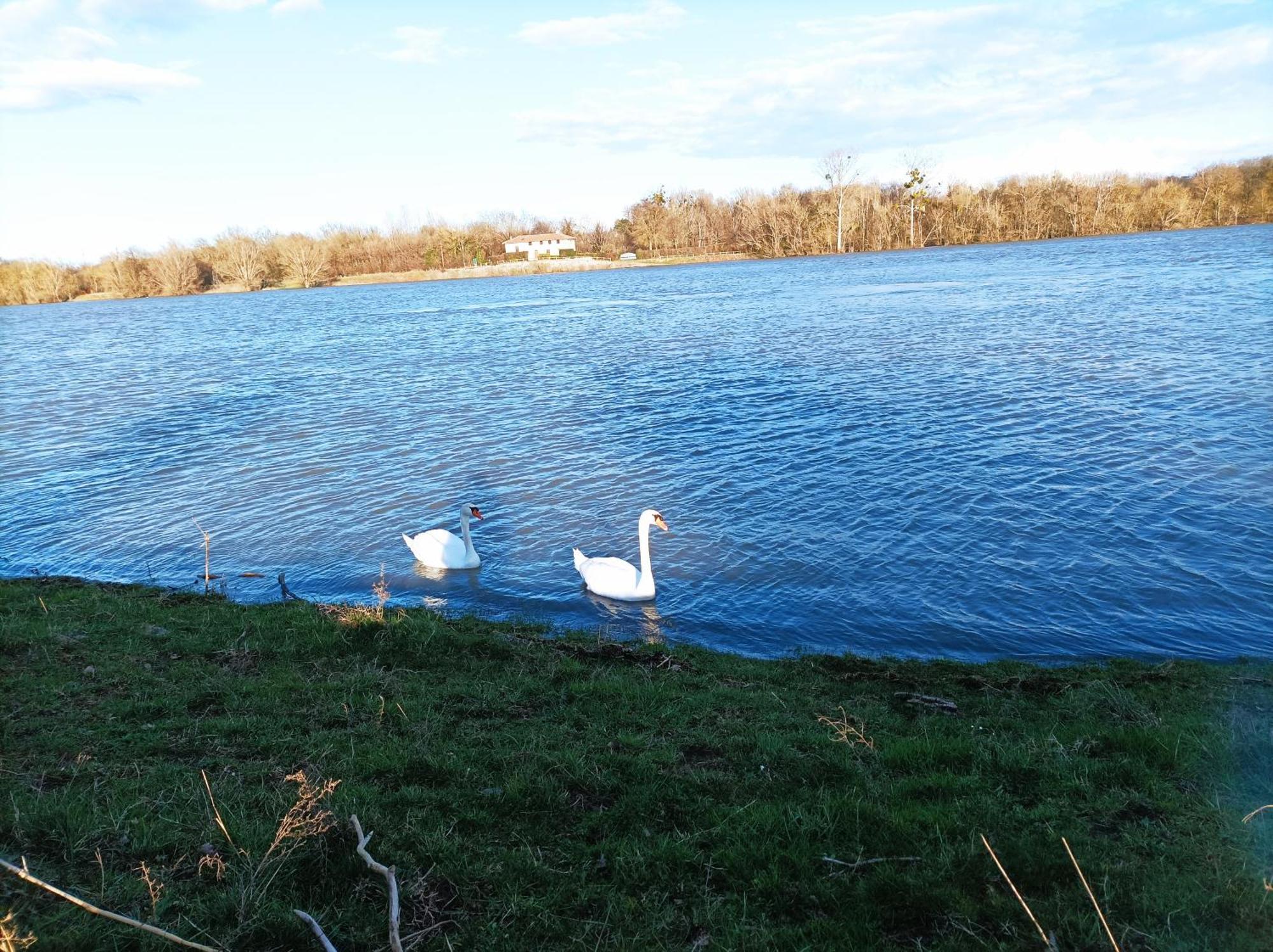 La Belle Riviere 1 Leilighet Saint-Georges-de-Reneins Eksteriør bilde